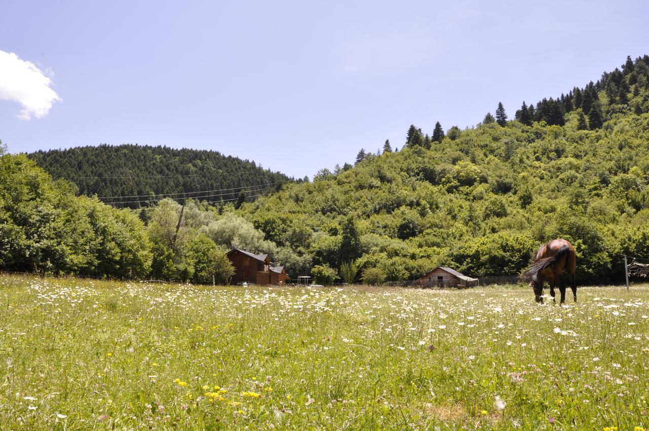 Farma Sotira Hotel Leskovik Kültér fotó